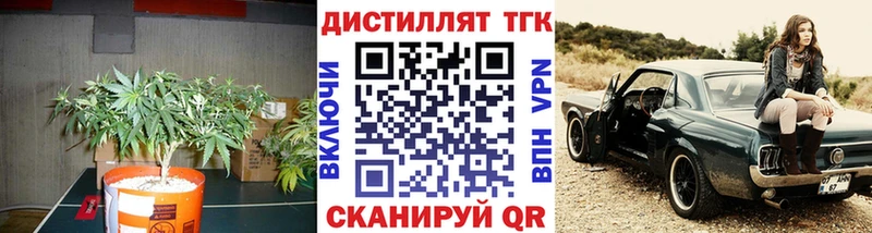 МЕГА ссылка  купить наркотик  Новокубанск  Дистиллят ТГК вейп 