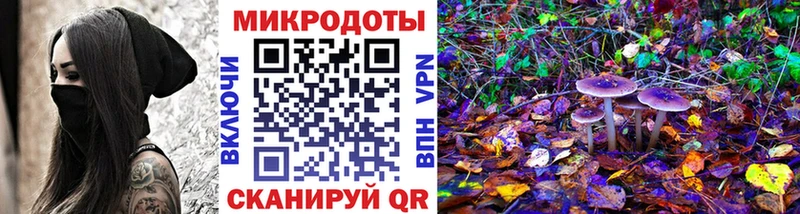 цена   Новокубанск  Псилоцибиновые грибы GOLDEN TEACHER 